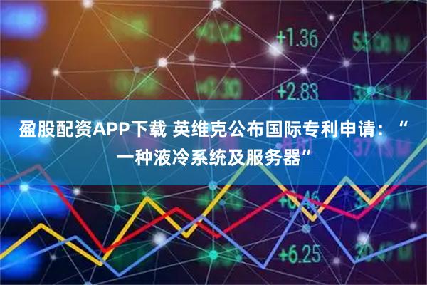 盈股配资APP下载 英维克公布国际专利申请:“一种液冷系统及服务器”