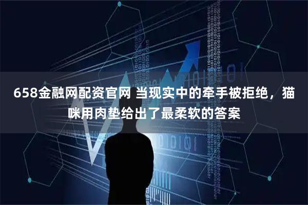 658金融网配资官网 当现实中的牵手被拒绝,猫咪用肉垫给出了最柔软的答案